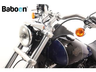 Harley-Davidson  FXDL Dyna Low Rider picture 18