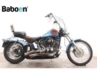 Schade motor Harley-Davidson  FXSTC Softail Custom 2005/1