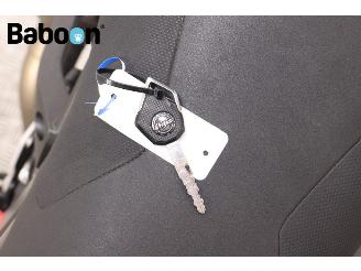 Kawasaki  Ninja ZX-10R SE picture 20