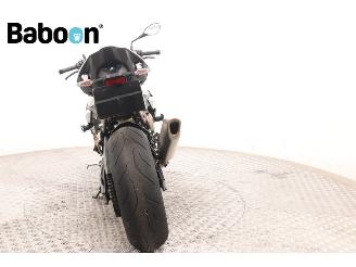 BMW S 1000 R  picture 7