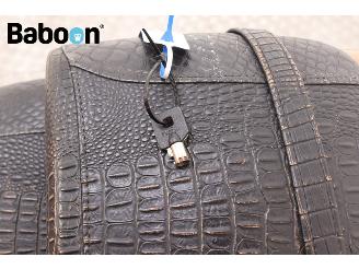 Harley-Davidson  VRSCF V-ROD Muscle ABS picture 22