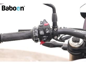 BMW S 1000 R ABS picture 15