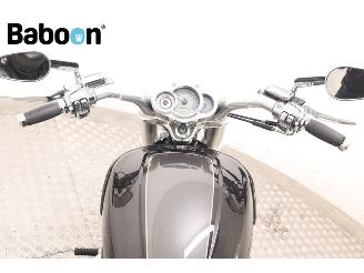 Harley-Davidson  VRSCF V-ROD Muscle ABS picture 17