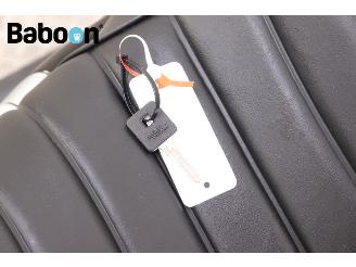 Harley-Davidson XL 1200 NS Sportster Iron picture 23