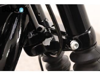 Harley-Davidson XL 883 N Sportster Iron picture 11