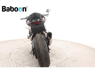 BMW S 1000 R  picture 7