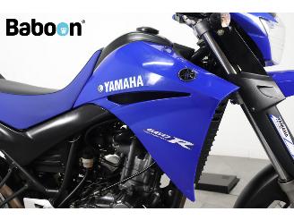 Yamaha XT 660 R picture 10