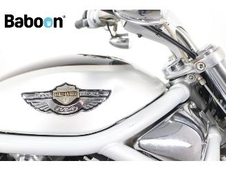 Harley-Davidson  VRSCA V-Rod 100Th Anniversary picture 11