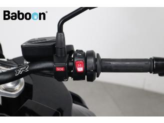 BMW S 1000 XR Triple Black picture 19