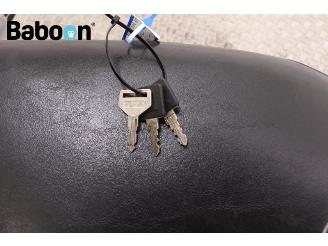 Harley-Davidson XL 1200 C Sportster picture 23