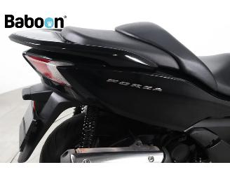 Honda  Forza 300 C-ABS picture 15