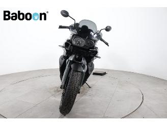 BMW K 1300 R ABS picture 3