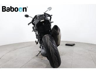 BMW K 1300 R ABS picture 7