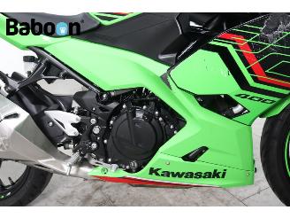 Kawasaki  Ninja 400 picture 19