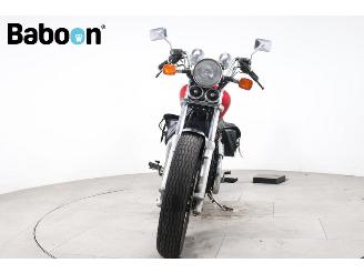 Honda  VT 700 C Shadow picture 9