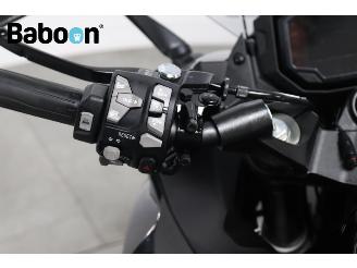 Kawasaki  Ninja 1000 SX picture 16