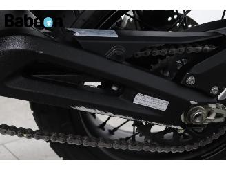 Ducati  Scrambler Icon picture 27
