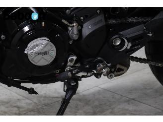 Ducati  Scrambler Icon picture 21