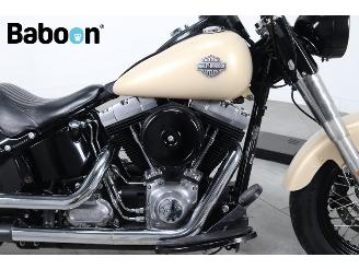 Harley-Davidson  FLS Softail Slim picture 10