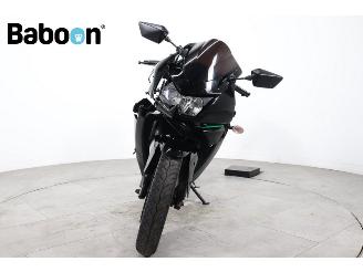 Kawasaki Ninja 250 R  picture 3