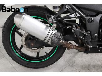 Kawasaki Ninja 250 R  picture 21