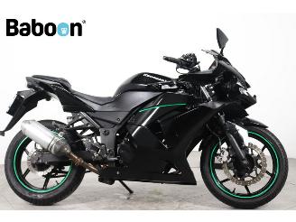 škoda motocykly Kawasaki Ninja 250 R  2010/1