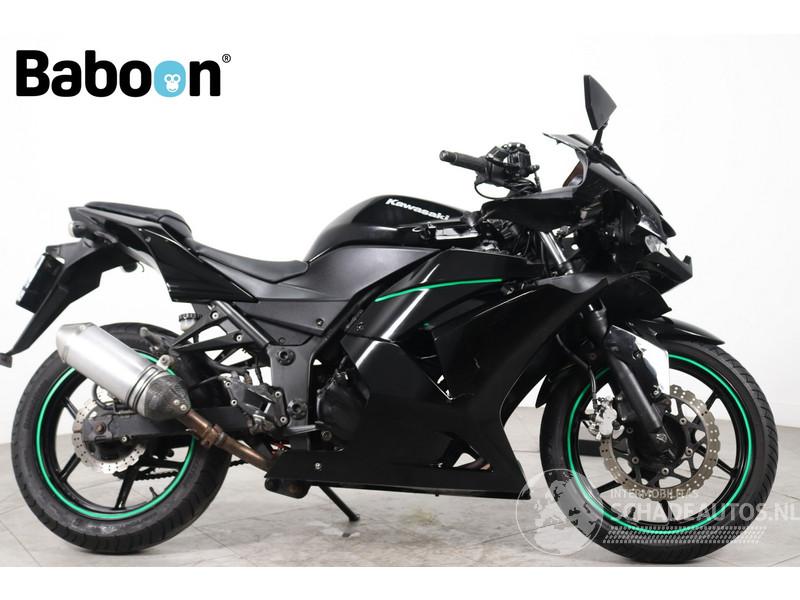 Kawasaki Ninja 250 R 