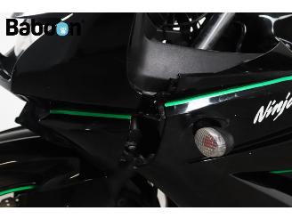 Kawasaki Ninja 250 R  picture 15