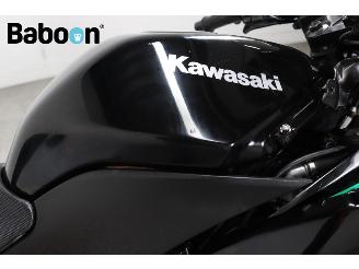 Kawasaki Ninja 250 R  picture 18