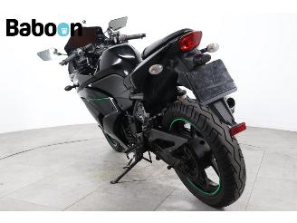 Kawasaki Ninja 250 R  picture 6