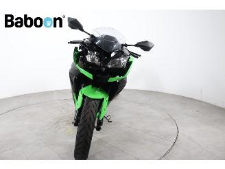 Kawasaki  Ninja 300 picture 7