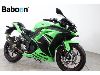 Kawasaki  Ninja 300 picture 8