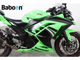 Kawasaki  Ninja 300 picture 12