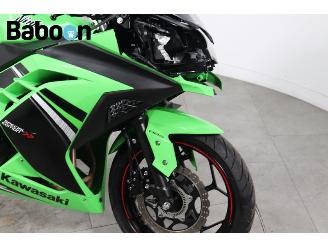 Kawasaki  Ninja 300 picture 10