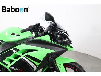 Kawasaki  Ninja 300 picture 11