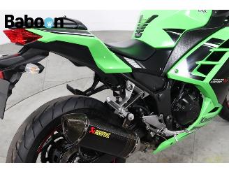 Kawasaki  Ninja 300 picture 15