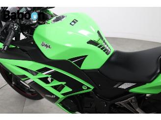 Kawasaki  Ninja 300 picture 18