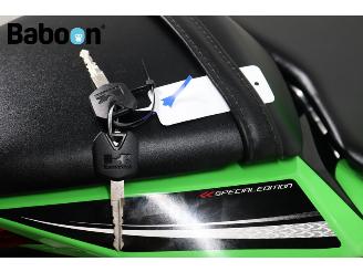Kawasaki  Ninja 300 picture 19