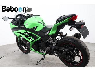 Kawasaki  Ninja 300 picture 4