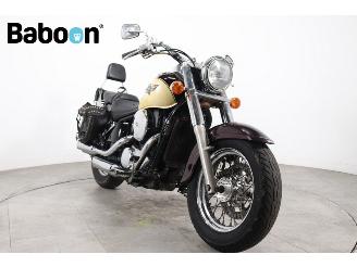 Kawasaki VN 800 Vulcan Classic picture 5