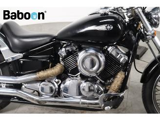 Yamaha XVS 650 Dragstar picture 10