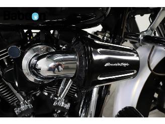 Harley-Davidson  FLTRUSE Road Glide 110 picture 11