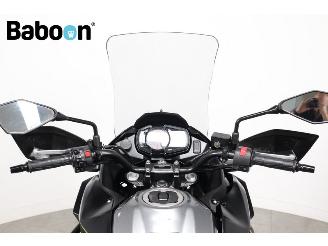 Kawasaki Versys 300 picture 16
