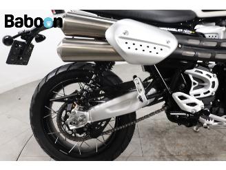 Triumph Scrambler 1200 XE picture 11