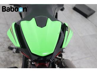 Kawasaki  Ninja 400 ABS picture 20