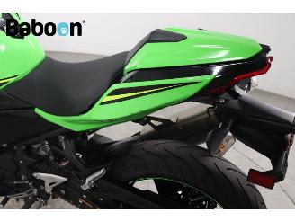 Kawasaki  Ninja 400 ABS picture 27