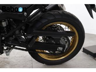 Suzuki DL 650 V-Strom picture 13