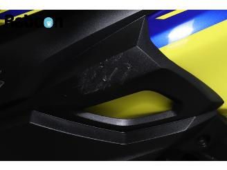 Suzuki DL 650 V-Strom picture 15