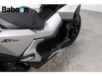 Honda  ADV 350 picture 19