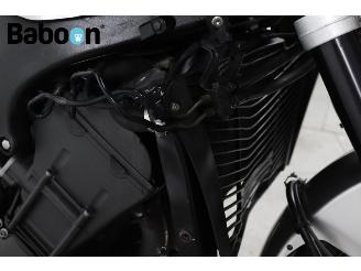 Yamaha FZ1-N ABS picture 19